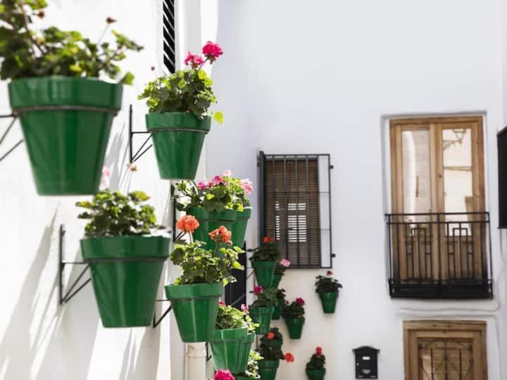 Apartamento En El Corazon De Las Alpujarras Carataunas Ngoại thất bức ảnh